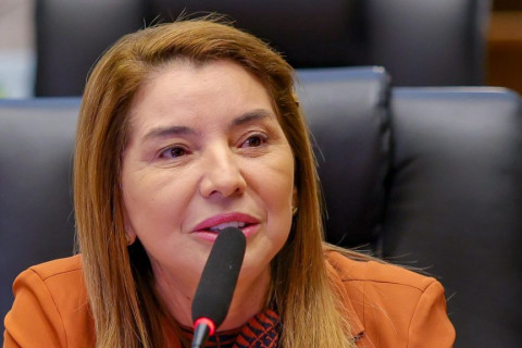 Iracema Vale reage a mudança no comando do PSB